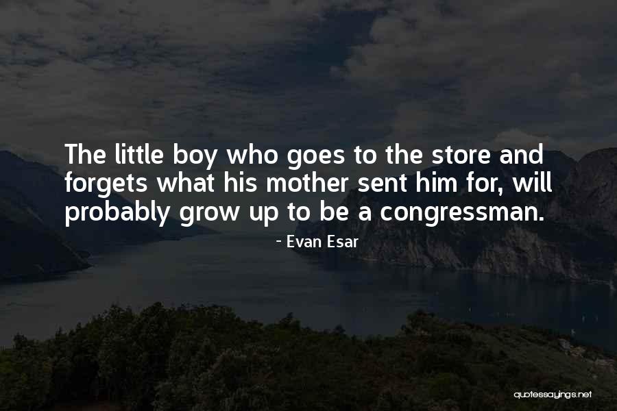 Sayler Implement Quotes By Evan Esar Sayler Implement Quotes By Evan Esar