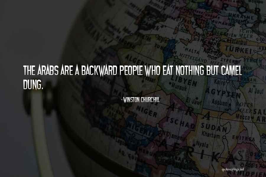 Sayumi Suzushiro Quotes By Winston Churchill Sayumi Suzushiro Quotes By Winston Churchill