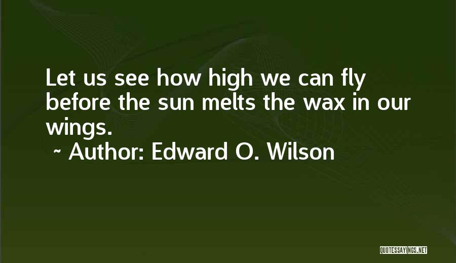 Sayyadi Bashir Quotes By Edward O. Wilson