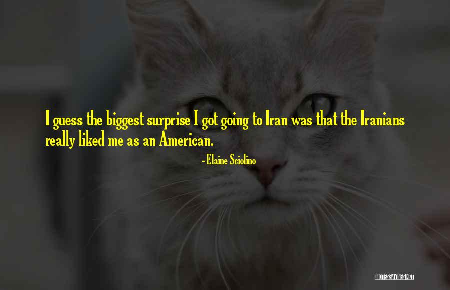 Sayyar Quotes By Elaine Sciolino Sayyar Quotes By Elaine Sciolino