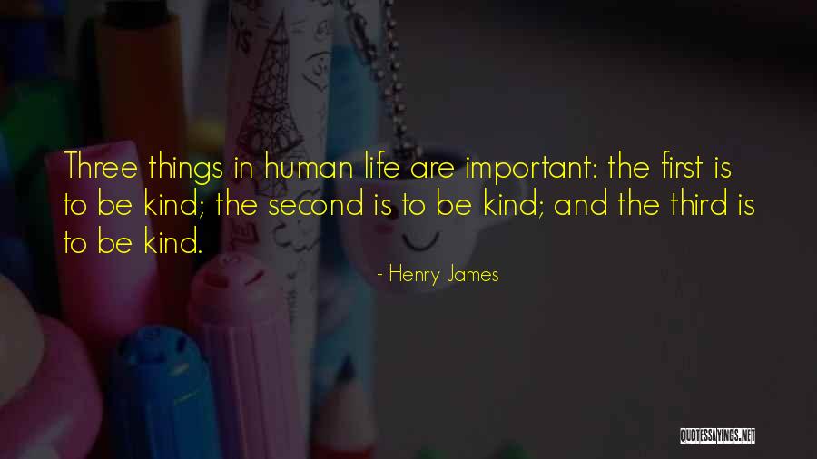 Sayyed Yusuf Quotes By Henry James Sayyed Yusuf Quotes By Henry James