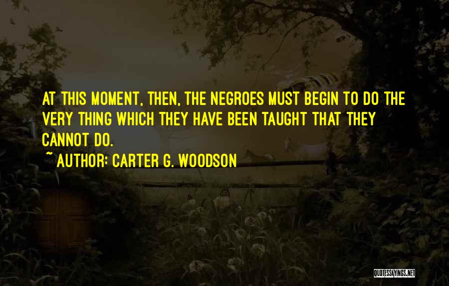 Saziso Dlamini Quotes By Carter G. Woodson