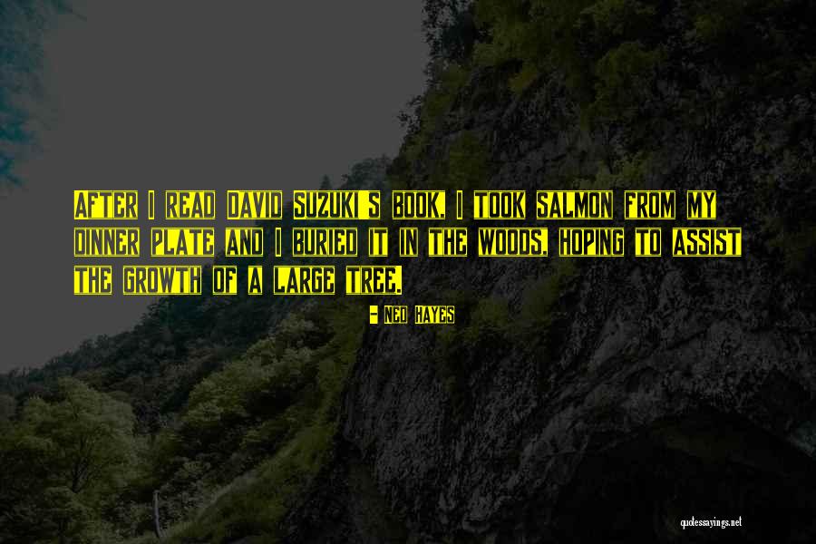 Sballottata Quotes By Ned Hayes Sballottata Quotes By Ned Hayes