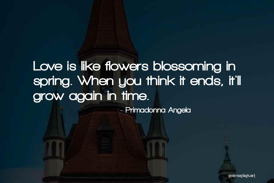 Sbardella Slate Quotes By Primadonna Angela Sbardella Slate Quotes By Primadonna Angela