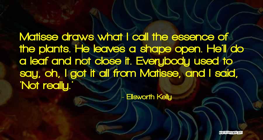 Sbragia Cabernet Quotes By Ellsworth Kelly Sbragia Cabernet Quotes By Ellsworth Kelly
