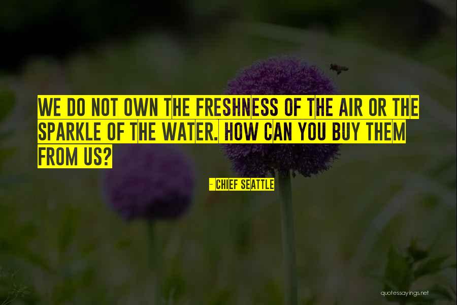 Scabmettler Quotes By Chief Seattle Scabmettler Quotes By Chief Seattle