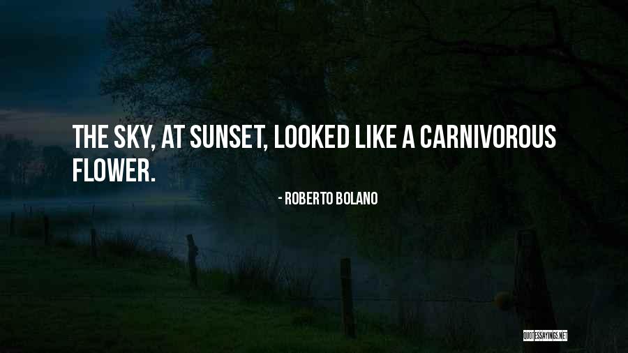 Scackeez Quotes By Roberto Bolano Scackeez Quotes By Roberto Bolano