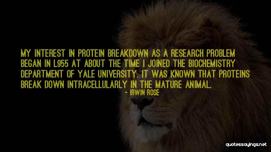 Scadron Wattles Quotes By Irwin Rose Scadron Wattles Quotes By Irwin Rose