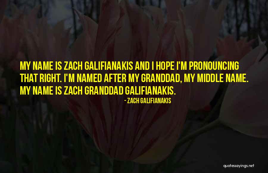 Scaffettas Gourmet Quotes By Zach Galifianakis Scaffettas Gourmet Quotes By Zach Galifianakis