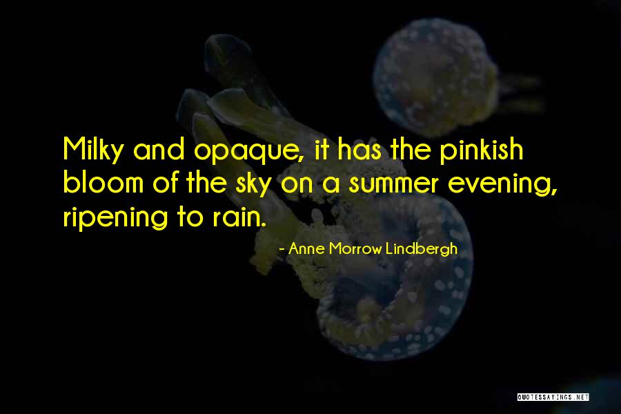 Scala String Three Quotes By Anne Morrow Lindbergh Scala String Three Quotes By Anne Morrow Lindbergh