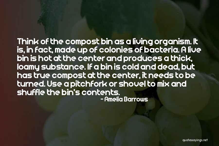 Scalapino Restaurant Quotes By Amelia Barrows Scalapino Restaurant Quotes By Amelia Barrows