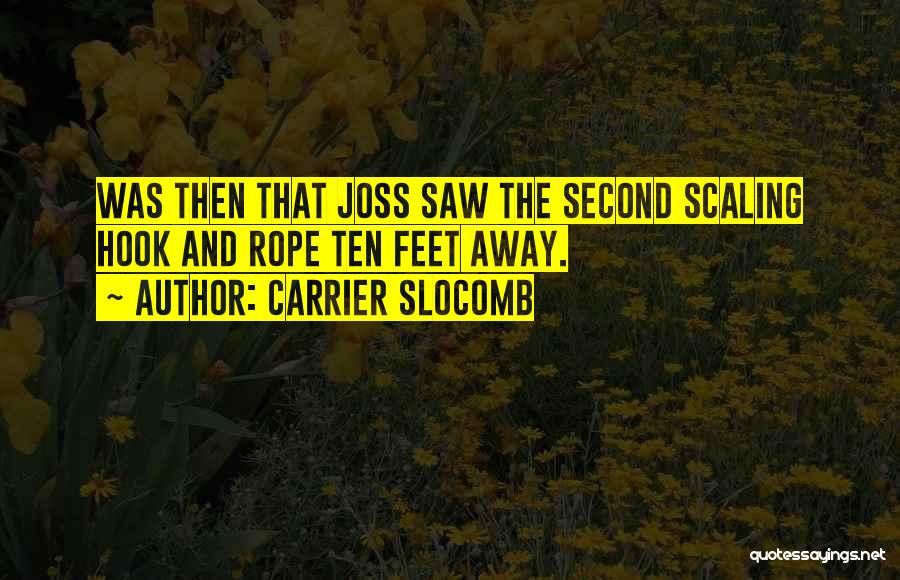 Scaling Quotes By Carrier Slocomb