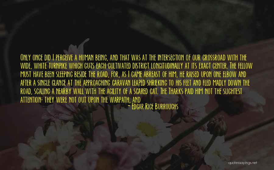 Scaling Quotes By Edgar Rice Burroughs Scaling Quotes By Edgar Rice Burroughs