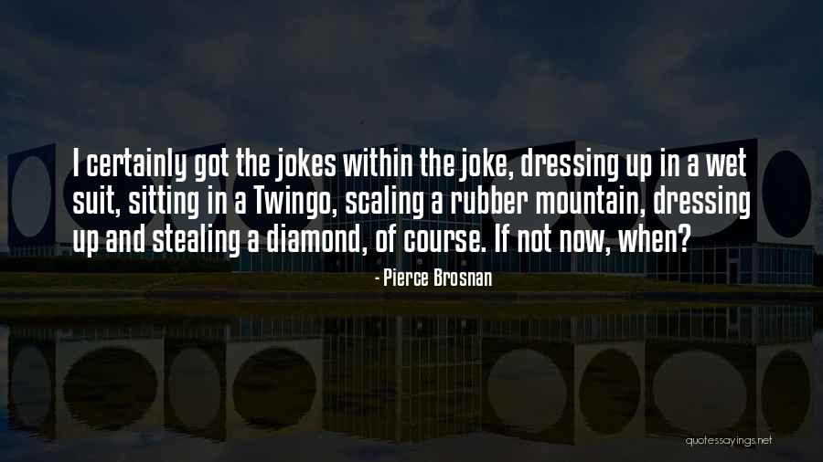 Scaling Quotes By Pierce Brosnan