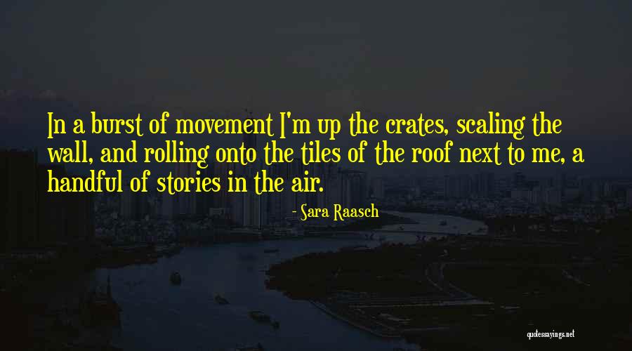 Scaling Quotes By Sara Raasch