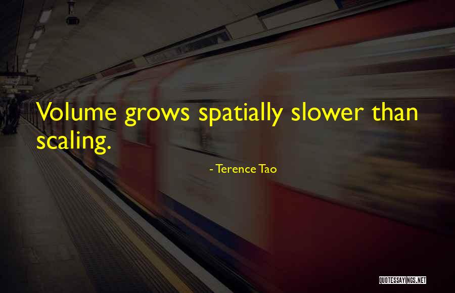 Scaling Quotes By Terence Tao