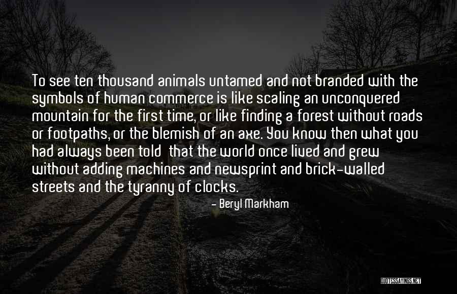 Scaling Up Quotes By Beryl Markham Scaling Up Quotes By Beryl Markham