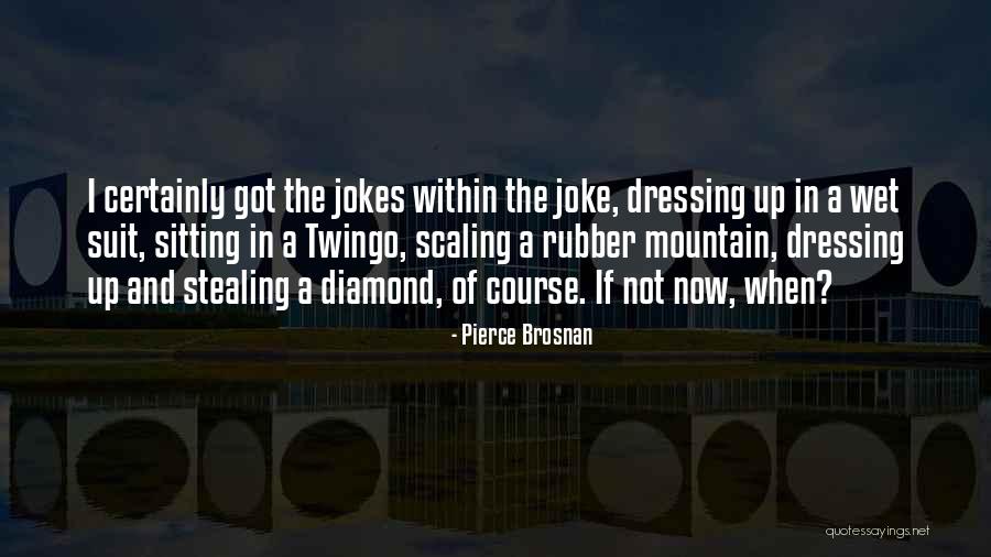 Scaling Up Quotes By Pierce Brosnan Scaling Up Quotes By Pierce Brosnan