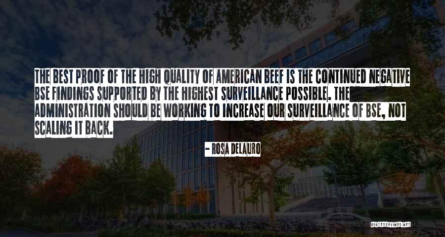 Scaling Up Quotes By Rosa DeLauro Scaling Up Quotes By Rosa DeLauro