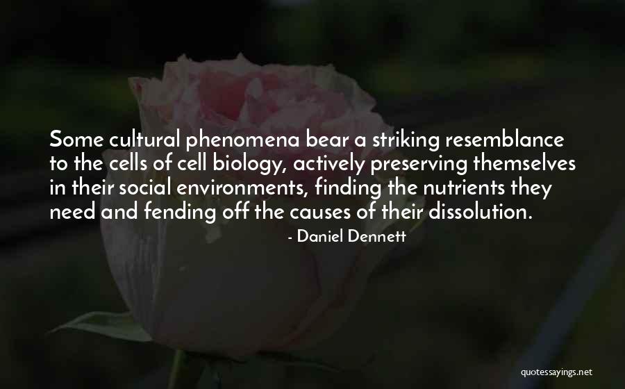 Scallopini Quotes By Daniel Dennett Scallopini Quotes By Daniel Dennett
