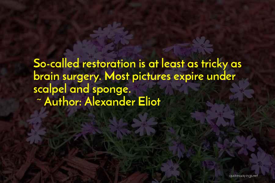 Scalpel Quotes By Alexander Eliot