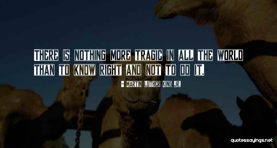 Scandura Belting Quotes By Martin Luther King Jr. Scandura Belting Quotes By Martin Luther King Jr.