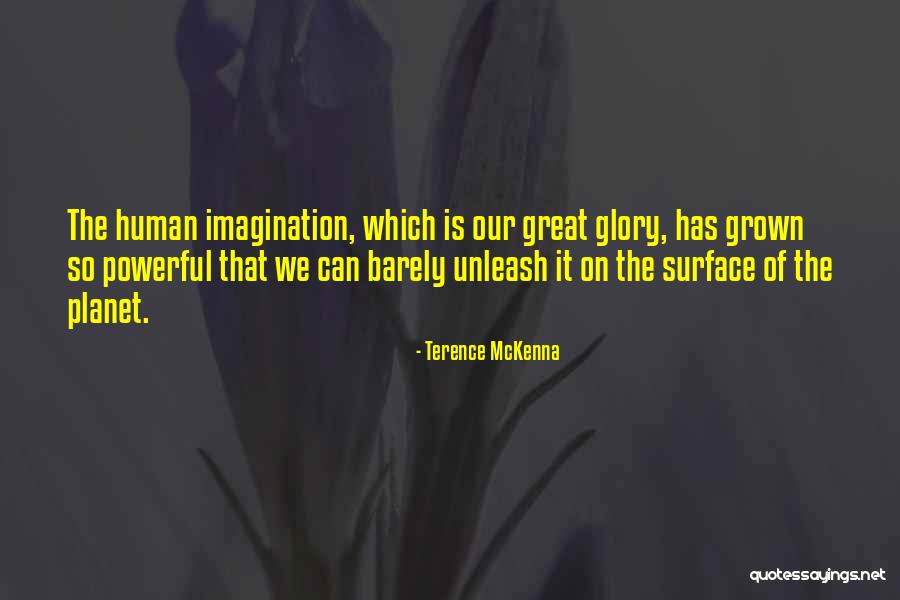 Scanlan High School Quotes By Terence McKenna Scanlan High School Quotes By Terence McKenna