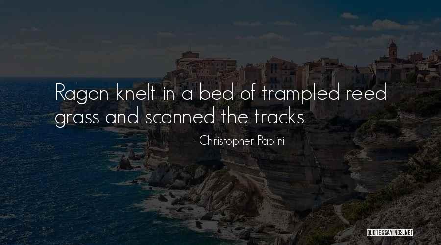 Scanned Quotes By Christopher Paolini Scanned Quotes By Christopher Paolini