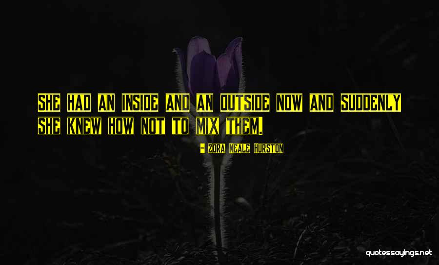Scantiness Means Quotes By Zora Neale Hurston Scantiness Means Quotes By Zora Neale Hurston