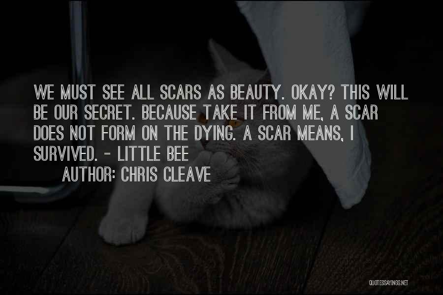 Scar Quotes By Chris Cleave