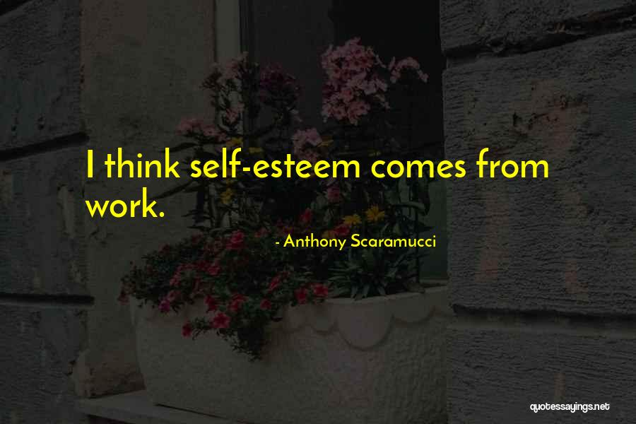 Scaramucci Best Quotes By Anthony Scaramucci Scaramucci Best Quotes By Anthony Scaramucci