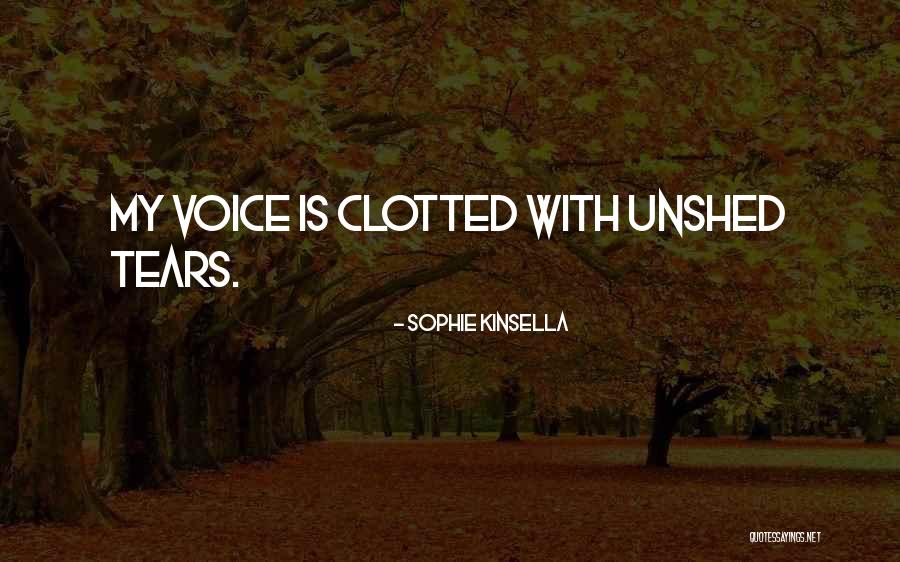 Scaramuzzi Builder Quotes By Sophie Kinsella