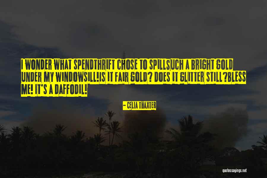 Scaravelli Hammock Quotes By Celia Thaxter Scaravelli Hammock Quotes By Celia Thaxter