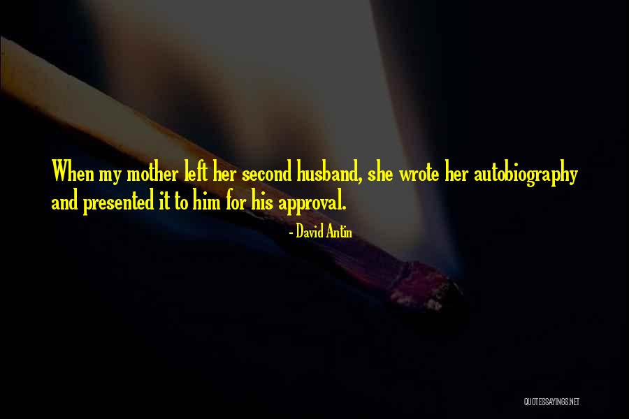 Scaravelli Hammock Quotes By David Antin Scaravelli Hammock Quotes By David Antin
