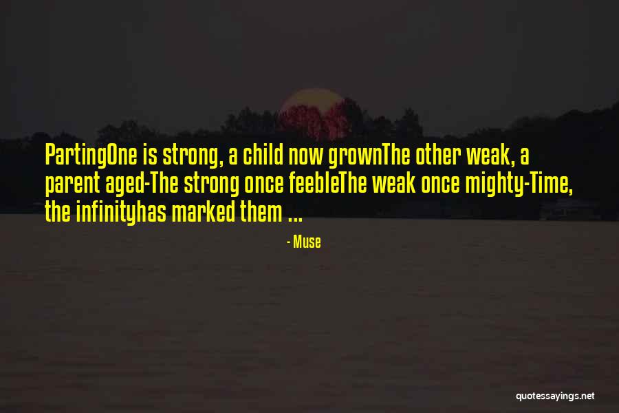 Scardigli E Quotes By Muse Scardigli E Quotes By Muse