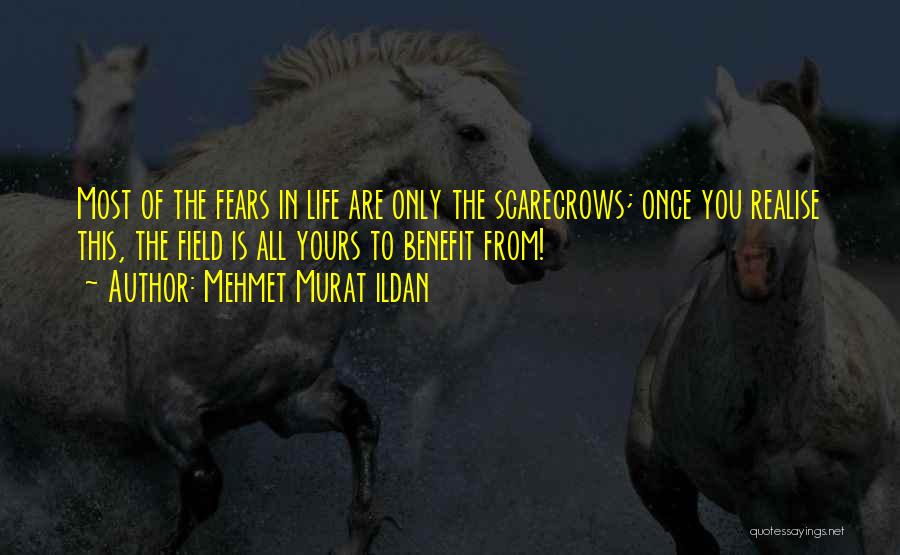 Scarecrows Quotes By Mehmet Murat Ildan