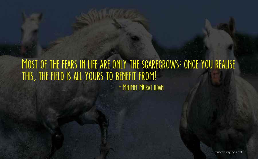 Scarecrows Quotes By Mehmet Murat Ildan