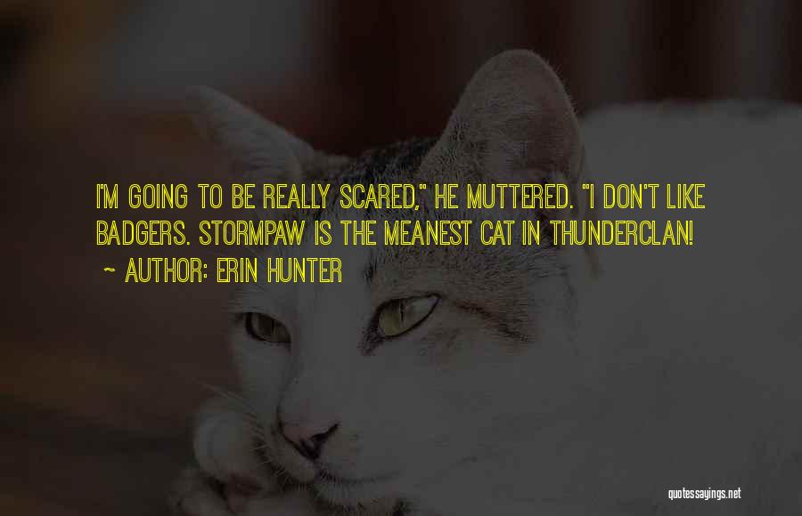 Scared Cat Quotes By Erin Hunter