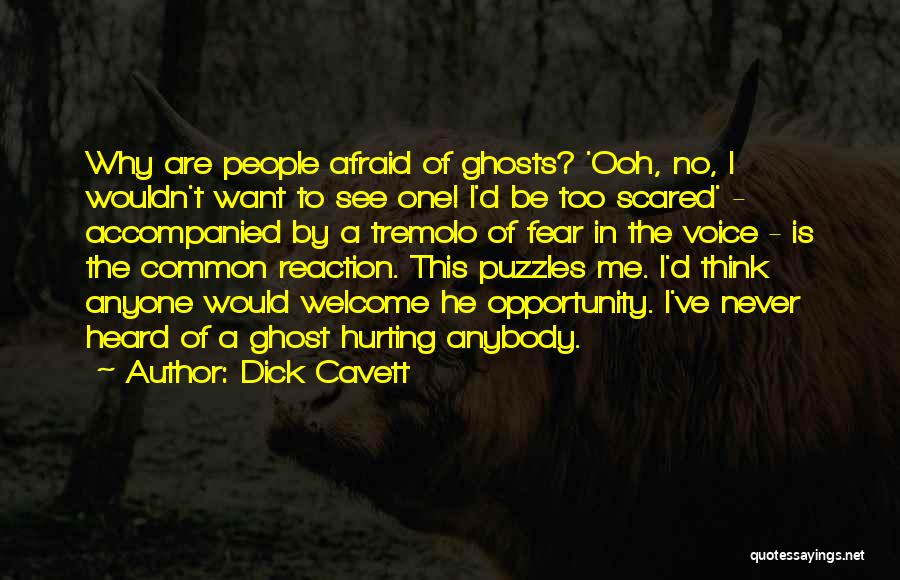 Scared Of Hurting Someone Quotes By Dick Cavett