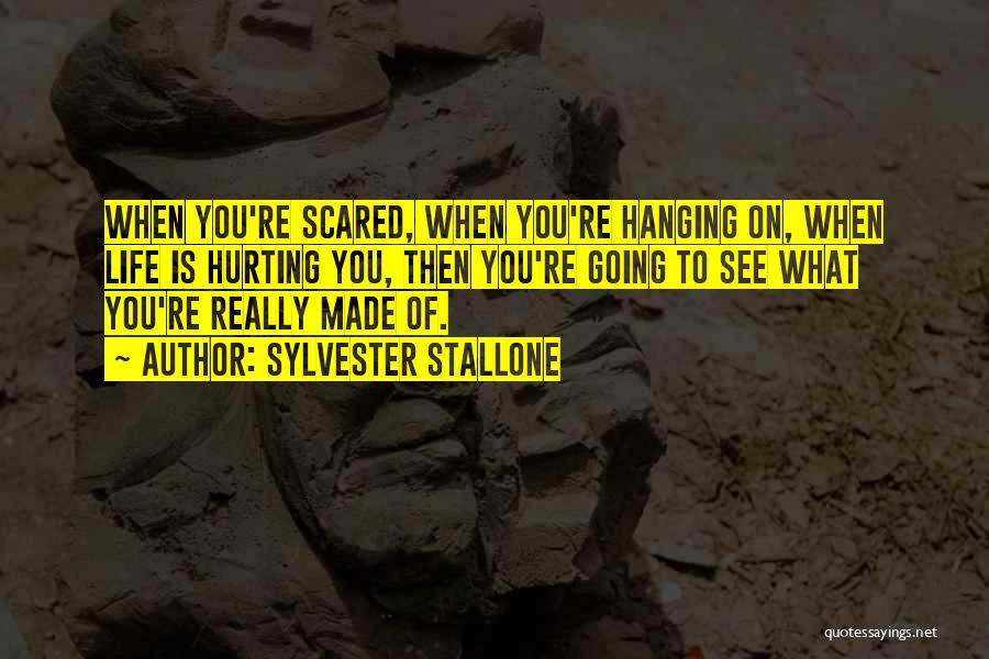 Scared Of Hurting Someone Quotes By Sylvester Stallone