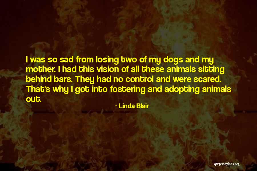 Scared Of Losing Him Quotes By Linda Blair