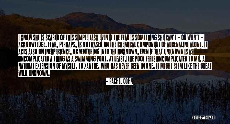 Scared Of Unknown Quotes By Rachel Cohn Scared Of Unknown Quotes By Rachel Cohn