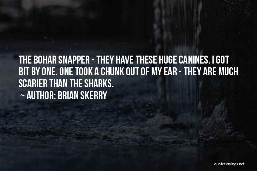 Scarier Than Quotes By Brian Skerry