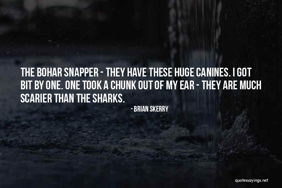 Scarier Than Quotes By Brian Skerry