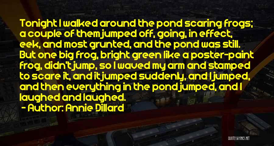 Scaring Someone Quotes By Annie Dillard