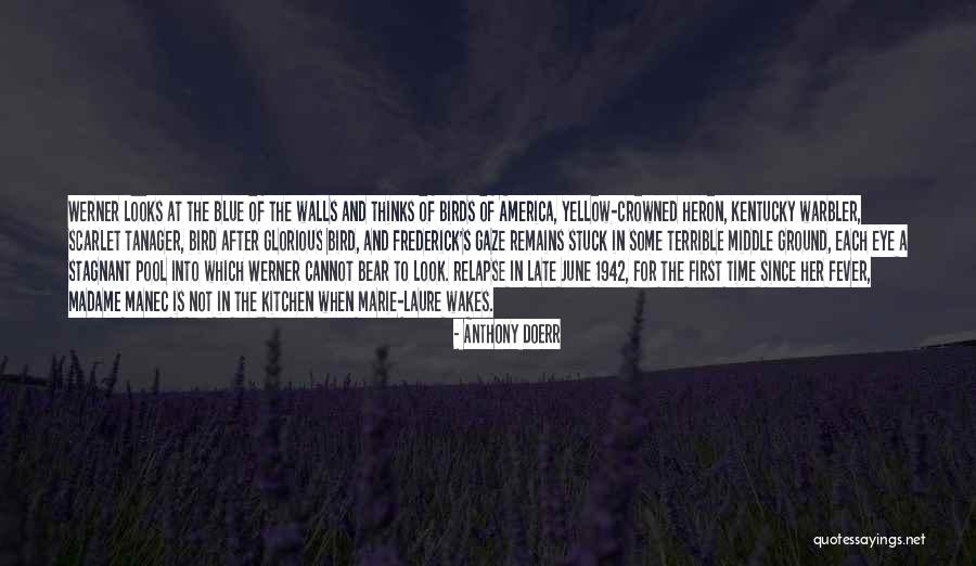 Scarlet Fever Quotes By Anthony Doerr