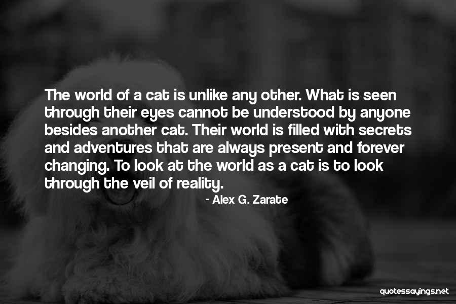 Scarola Chicago Quotes By Alex G. Zarate Scarola Chicago Quotes By Alex G. Zarate