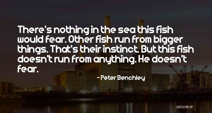 Scarponi Funeral Quotes By Peter Benchley Scarponi Funeral Quotes By Peter Benchley