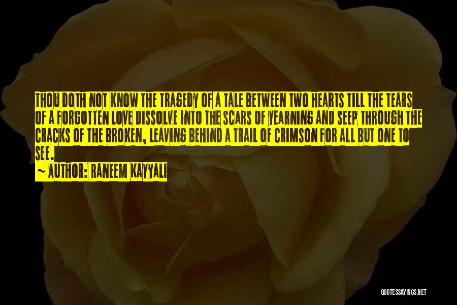 Scars And Broken Hearts Quotes By Raneem Kayyali