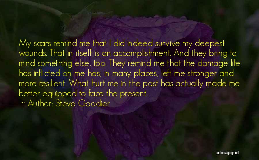 Scars And Life Quotes By Steve Goodier